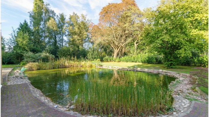 ***Modernes Anwesen - Haus mit Einliegerwohnung auf ca. 4.900 m² Grundstück mit Teich in Flachsmeer***