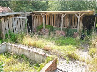 Gemüsegarten