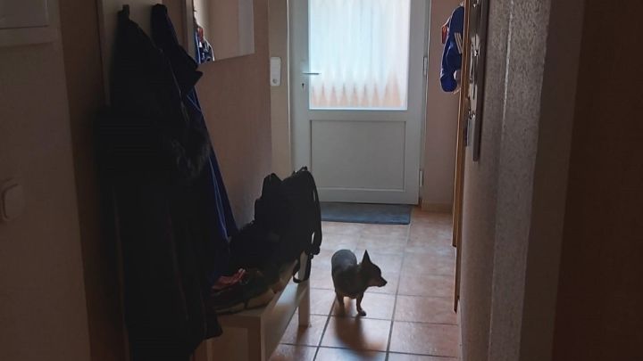 ***Gemütliche 3-Zimmer-Wohnung auf zwei Etagen in Jemgum***